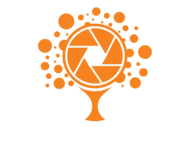 Logo KameraPohon - Vendor Dokumentasi Acara, Profil Perusahaan, dan Iklan Komersial